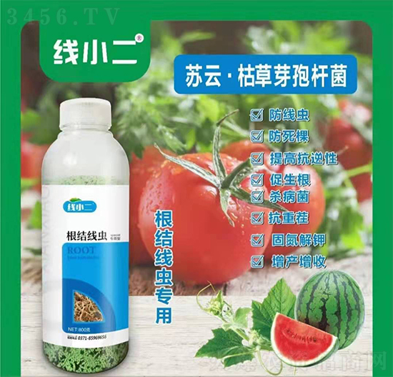 根结线虫并不可怕,做到这三点,和线虫说再见! 根结线虫并不可怕,做到这三点,和线虫说再见!