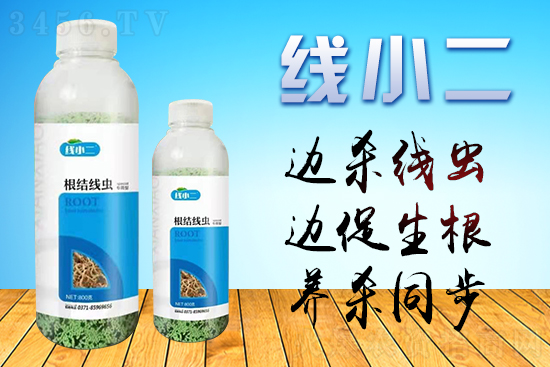 根结线虫并不可怕,做到这三点,和线虫说再见! 根结线虫并不可怕,做到这三点,和线虫说再见!