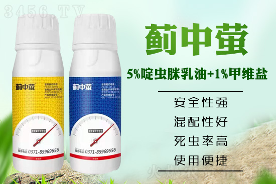 蓟马用什么能杀死?这一复配秘方,虫卵双杀、! 蓟马用什么能杀死?这一复配秘方,虫卵双杀、!